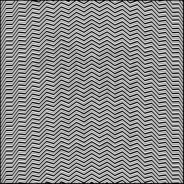 You Have Hawk Eyes If You Can Find The Hidden Animal In The Picture In You Have Hawk Eyes If You Can Find The Hidden Animal In The Picture In